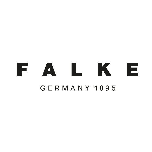 logo-falcon
